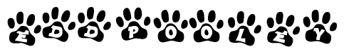 The image shows a row of animal paw prints, each containing a letter. The letters spell out the word Eddpooley within the paw prints.