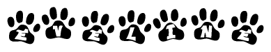 The image shows a row of animal paw prints, each containing a letter. The letters spell out the word Eveline within the paw prints.