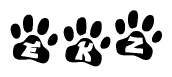 The image shows a row of animal paw prints, each containing a letter. The letters spell out the word Ekz within the paw prints.