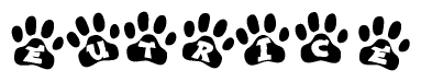 The image shows a series of animal paw prints arranged in a horizontal line. Each paw print contains a letter, and together they spell out the word Eutrice.