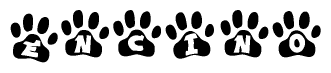 The image shows a series of animal paw prints arranged horizontally. Within each paw print, there's a letter; together they spell Encino