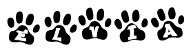 The image shows a row of animal paw prints, each containing a letter. The letters spell out the word Elvia within the paw prints.