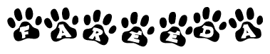 The image shows a series of animal paw prints arranged in a horizontal line. Each paw print contains a letter, and together they spell out the word Fareeda.