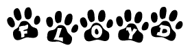 The image shows a row of animal paw prints, each containing a letter. The letters spell out the word Floyd within the paw prints.