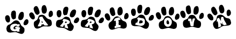 The image shows a row of animal paw prints, each containing a letter. The letters spell out the word Garridovm within the paw prints.
