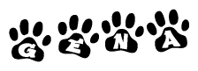 The image shows a series of animal paw prints arranged in a horizontal line. Each paw print contains a letter, and together they spell out the word Gena.