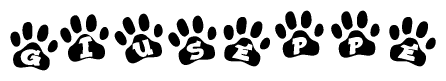 The image shows a row of animal paw prints, each containing a letter. The letters spell out the word Giuseppe within the paw prints.
