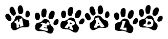 The image shows a series of animal paw prints arranged in a horizontal line. Each paw print contains a letter, and together they spell out the word Herald.