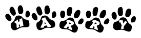The image shows a row of animal paw prints, each containing a letter. The letters spell out the word Harry within the paw prints.