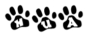 The image shows a series of animal paw prints arranged in a horizontal line. Each paw print contains a letter, and together they spell out the word Hua.