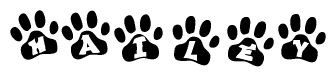 The image shows a series of animal paw prints arranged in a horizontal line. Each paw print contains a letter, and together they spell out the word Hailey.