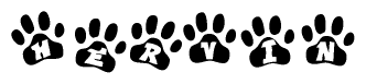 The image shows a series of animal paw prints arranged in a horizontal line. Each paw print contains a letter, and together they spell out the word Hervin.