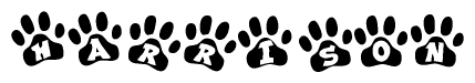 The image shows a row of animal paw prints, each containing a letter. The letters spell out the word Harrison within the paw prints.