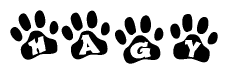 The image shows a series of animal paw prints arranged horizontally. Within each paw print, there's a letter; together they spell Hagy