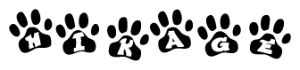 The image shows a series of animal paw prints arranged in a horizontal line. Each paw print contains a letter, and together they spell out the word Hikage.