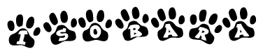 The image shows a series of animal paw prints arranged in a horizontal line. Each paw print contains a letter, and together they spell out the word Isobara.