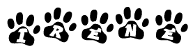 The image shows a series of animal paw prints arranged horizontally. Within each paw print, there's a letter; together they spell Irene