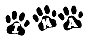 The image shows a row of animal paw prints, each containing a letter. The letters spell out the word Ima within the paw prints.