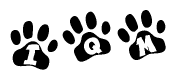 The image shows a series of animal paw prints arranged in a horizontal line. Each paw print contains a letter, and together they spell out the word Iqm.
