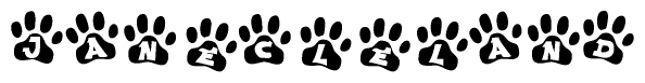 The image shows a series of animal paw prints arranged in a horizontal line. Each paw print contains a letter, and together they spell out the word Janecleland.