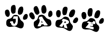 The image shows a series of animal paw prints arranged in a horizontal line. Each paw print contains a letter, and together they spell out the word Jare.