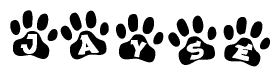 The image shows a row of animal paw prints, each containing a letter. The letters spell out the word Jayse within the paw prints.