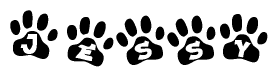 The image shows a series of animal paw prints arranged in a horizontal line. Each paw print contains a letter, and together they spell out the word Jessy.