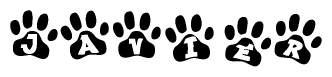 The image shows a series of animal paw prints arranged in a horizontal line. Each paw print contains a letter, and together they spell out the word Javier.