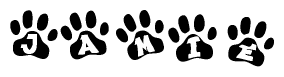 The image shows a row of animal paw prints, each containing a letter. The letters spell out the word Jamie within the paw prints.