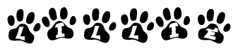 The image shows a series of animal paw prints arranged horizontally. Within each paw print, there's a letter; together they spell Lillie