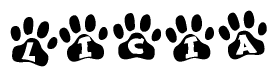 The image shows a series of animal paw prints arranged in a horizontal line. Each paw print contains a letter, and together they spell out the word Licia.