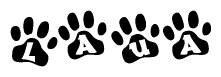 The image shows a series of animal paw prints arranged horizontally. Within each paw print, there's a letter; together they spell Laua