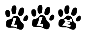 The image shows a series of animal paw prints arranged in a horizontal line. Each paw print contains a letter, and together they spell out the word Lle.