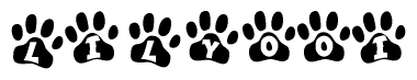 The image shows a row of animal paw prints, each containing a letter. The letters spell out the word Lilyooi within the paw prints.