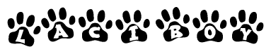 The image shows a row of animal paw prints, each containing a letter. The letters spell out the word Laciboy within the paw prints.