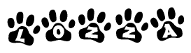 The image shows a series of animal paw prints arranged horizontally. Within each paw print, there's a letter; together they spell Lozza