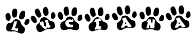 The image shows a series of animal paw prints arranged in a horizontal line. Each paw print contains a letter, and together they spell out the word Luciana.