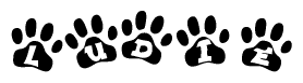 The image shows a row of animal paw prints, each containing a letter. The letters spell out the word Ludie within the paw prints.