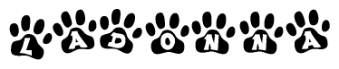 The image shows a row of animal paw prints, each containing a letter. The letters spell out the word Ladonna within the paw prints.