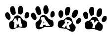 The image shows a series of animal paw prints arranged in a horizontal line. Each paw print contains a letter, and together they spell out the word Mary.