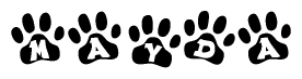 The image shows a row of animal paw prints, each containing a letter. The letters spell out the word Mayda within the paw prints.