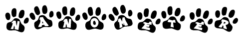 The image shows a series of animal paw prints arranged in a horizontal line. Each paw print contains a letter, and together they spell out the word Nanometer.