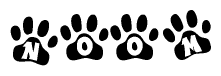 The image shows a row of animal paw prints, each containing a letter. The letters spell out the word Noom within the paw prints.