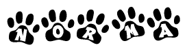 The image shows a row of animal paw prints, each containing a letter. The letters spell out the word Norma within the paw prints.