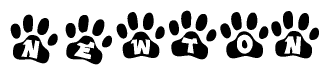 The image shows a row of animal paw prints, each containing a letter. The letters spell out the word Newton within the paw prints.