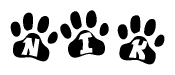 The image shows a series of animal paw prints arranged in a horizontal line. Each paw print contains a letter, and together they spell out the word Nik.