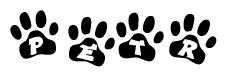 The image shows a series of animal paw prints arranged horizontally. Within each paw print, there's a letter; together they spell Petr