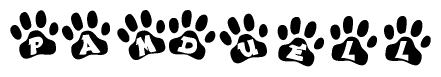 The image shows a row of animal paw prints, each containing a letter. The letters spell out the word Pamduell within the paw prints.