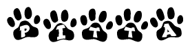 The image shows a series of animal paw prints arranged in a horizontal line. Each paw print contains a letter, and together they spell out the word Pitta.