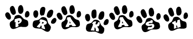 The image shows a series of animal paw prints arranged in a horizontal line. Each paw print contains a letter, and together they spell out the word Prakash.